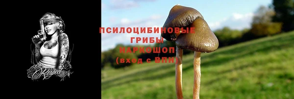 2c-b Семилуки